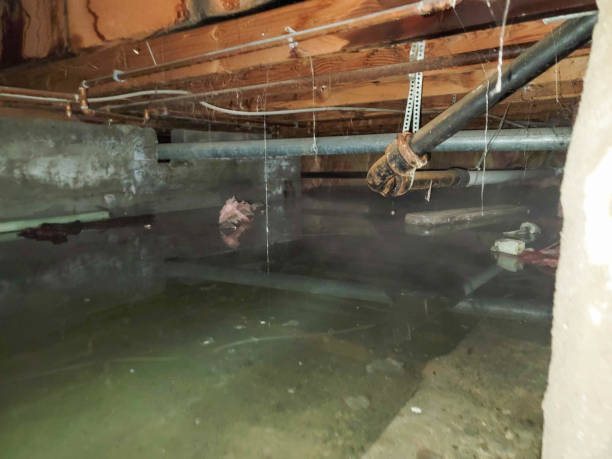 Best Residential water damage restoration  in Lake Belvedere Estates, FL