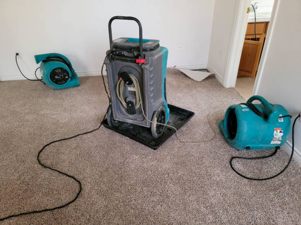 Best Professional water damage repair  in Lake Belvedere Estates, FL