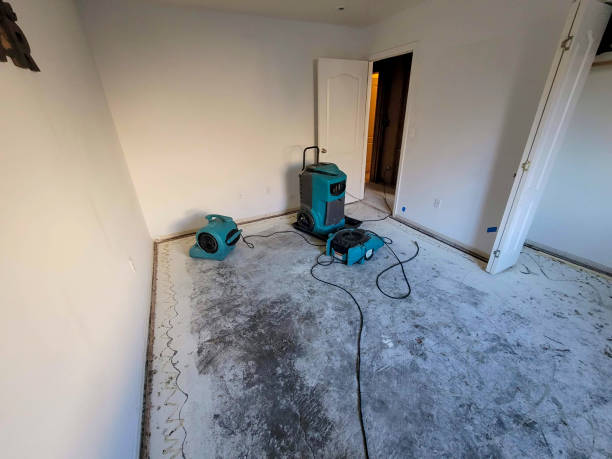  Lake Belvedere Estates, FL Water damage restoration Pros