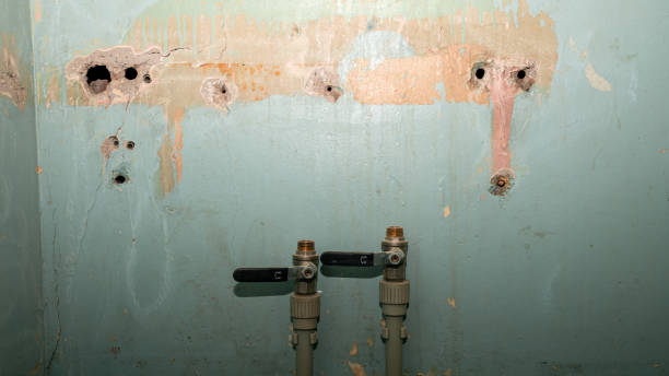 Best 24/7 water damage repair  in Lake Belvedere Estates, FL