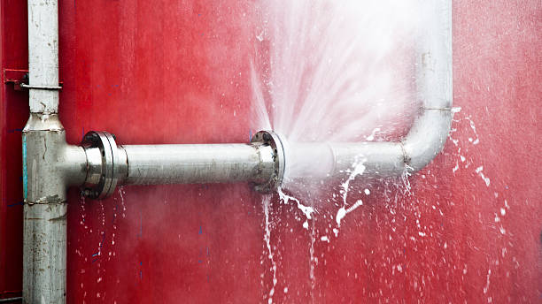 Best Fire Damage Restoration  in Lake Belvedere Estates, FL