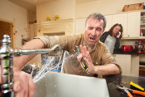 Best Water damage contractors near me  in Lake Belvedere Estates, FL